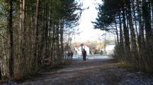  Blick auf die Wanderstrecke nach Viehofen 